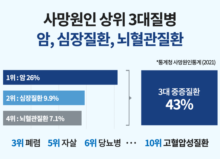 보험 유형별 설명